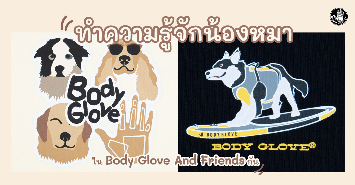 ทำความรู้จักน้องหมาทั้ง 4 สายพันธุ์ ในคอล Body Glove And Friends กัน!